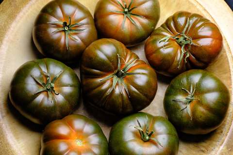 Marmande-Tomaten mit dunkelgrünen Schultern in einer Schale
