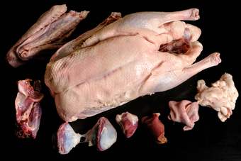 Rohe Gans mit Gänseklein, daneben Flügel, Hals, Herz, Leber und Nieren