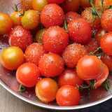 Tomatensosse frische Tomaten