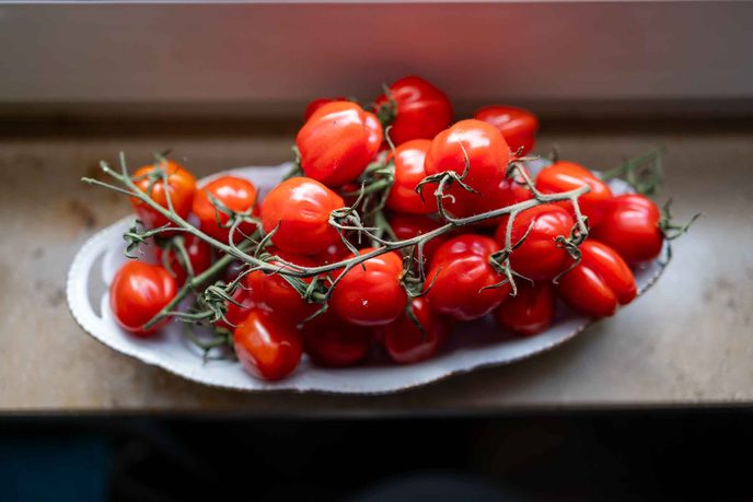 Kleine rote Tomaten an der Rispe in einer weißen Porzellanschale auf der Fensterbank