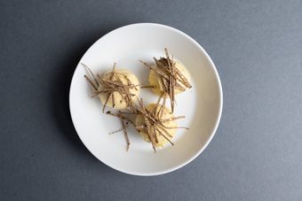 Drei Kugeln Trüffelbutter mit feinen Trüffelspänen in einem weißen Teller