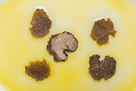 Schwarze Trüffelscheiben in Öl eingelegt