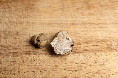 Weiße Trüffel, ganz und angeschnitten, auf einem Holzbrett